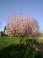 /album/fenykepgaleria/a2013-aprilis-23-076-jpg/